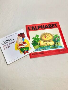 Livres vintage pour enfants Français Caillou Alphabet RogerParé Y2K French Books